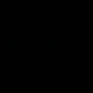 Meet your Posher, Gracie